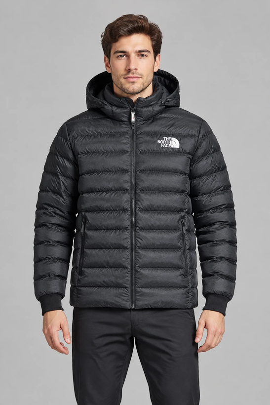کاپشن پفی مردانه نورت فیس (The North Face) مموری داخل خز